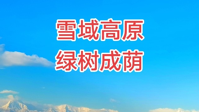 雪山下面绿树成荫