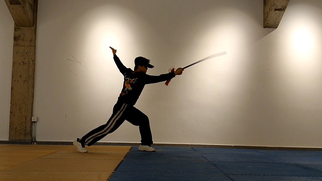 照一轮明月，印我情愁如白雪