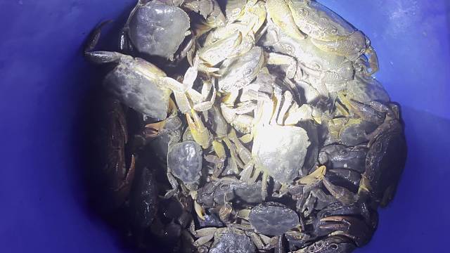 今天终于没空军