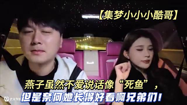 【集梦小小小酷哥】燕子虽然不爱说话像“死鱼”，但是奈何她长得好看啊兄弟们！