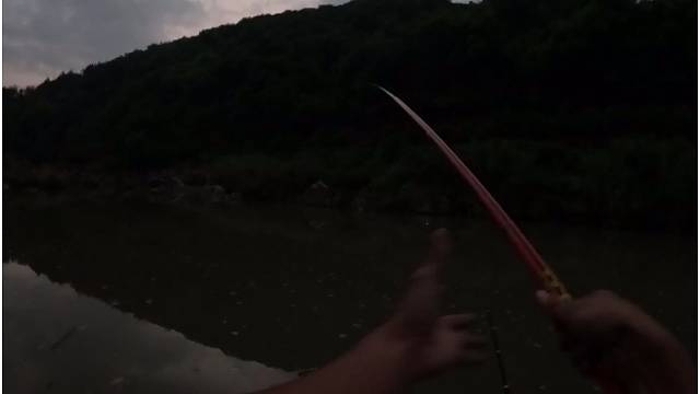 黑水潭好多猛货