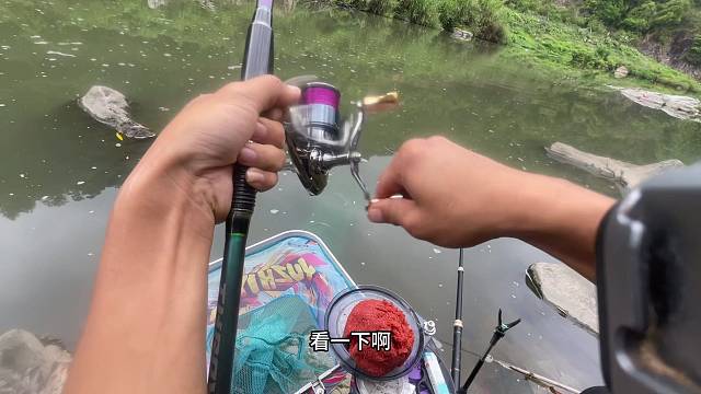 鲤鱼窝子就是不一样嘎嘎的