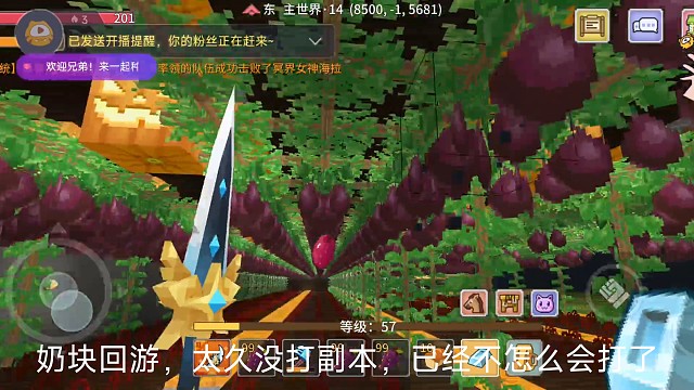 参天之林服，02种地日常