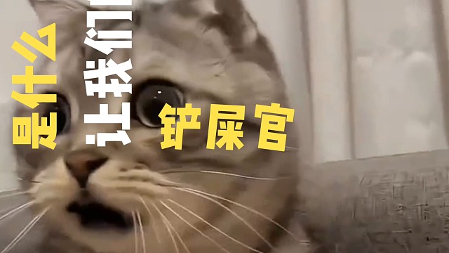 荒野行动大花刺旗袍