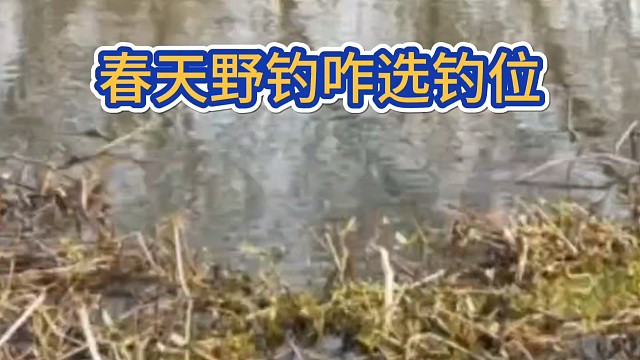 春天野钓咋选钓位