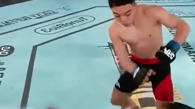 世界综合格斗名场面