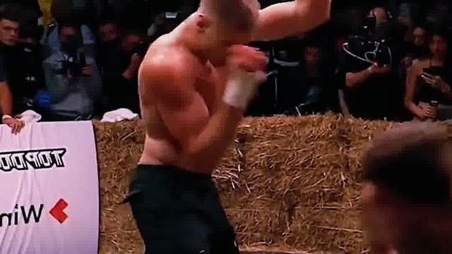 世界综合格斗名场面