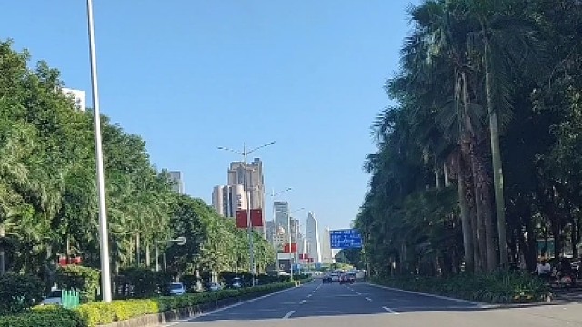 对方闯红灯了，发生事故却要你承担责任怎么办 #交通事故