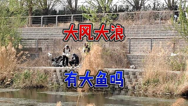 大风天照样有钓友出钓，他们坚信有大鱼，但实际情况是啥样的呢？