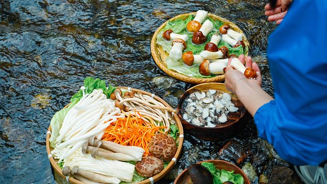 森林露营｜在溪流边煮一锅菌汤火锅