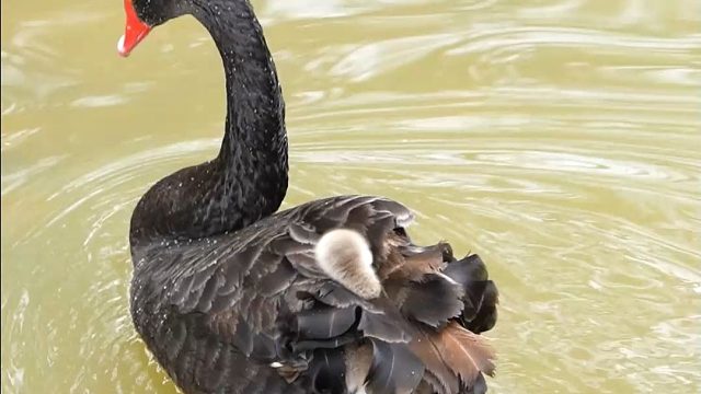 平静的海面培养不出优秀的水手