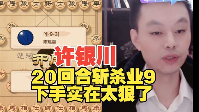许银川20回合斩杀业9，太厉害了