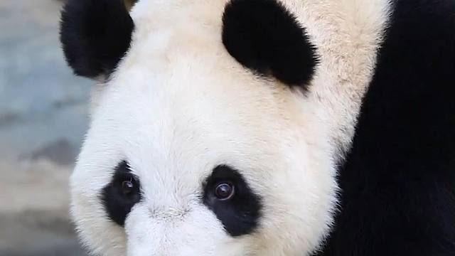 爱吃更爱你们！