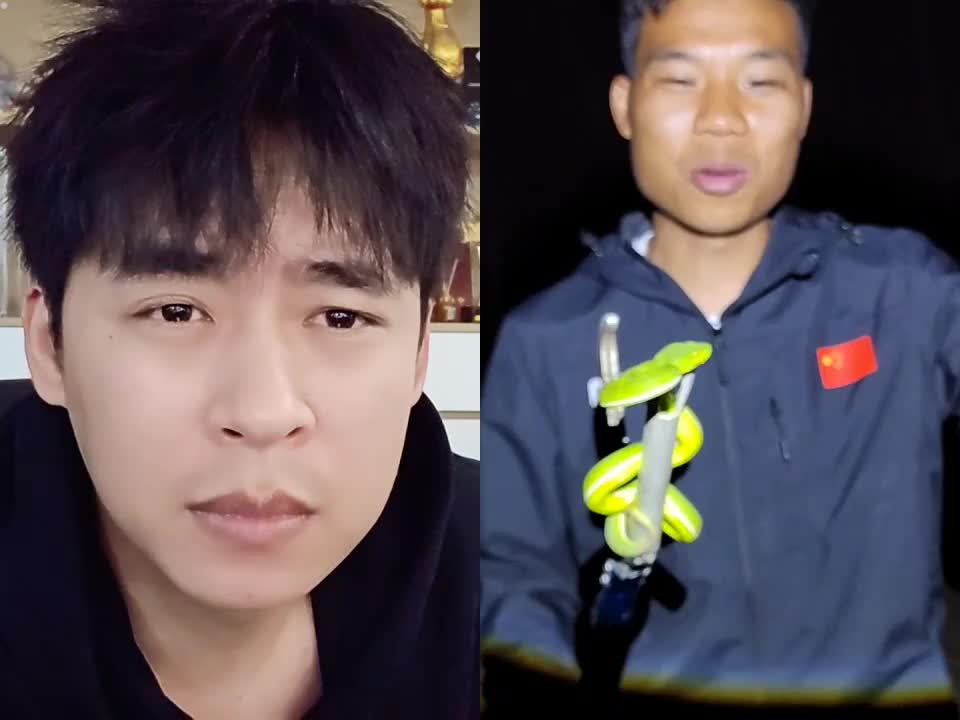 这个户外主播太厉害了，天天与蛇共舞！