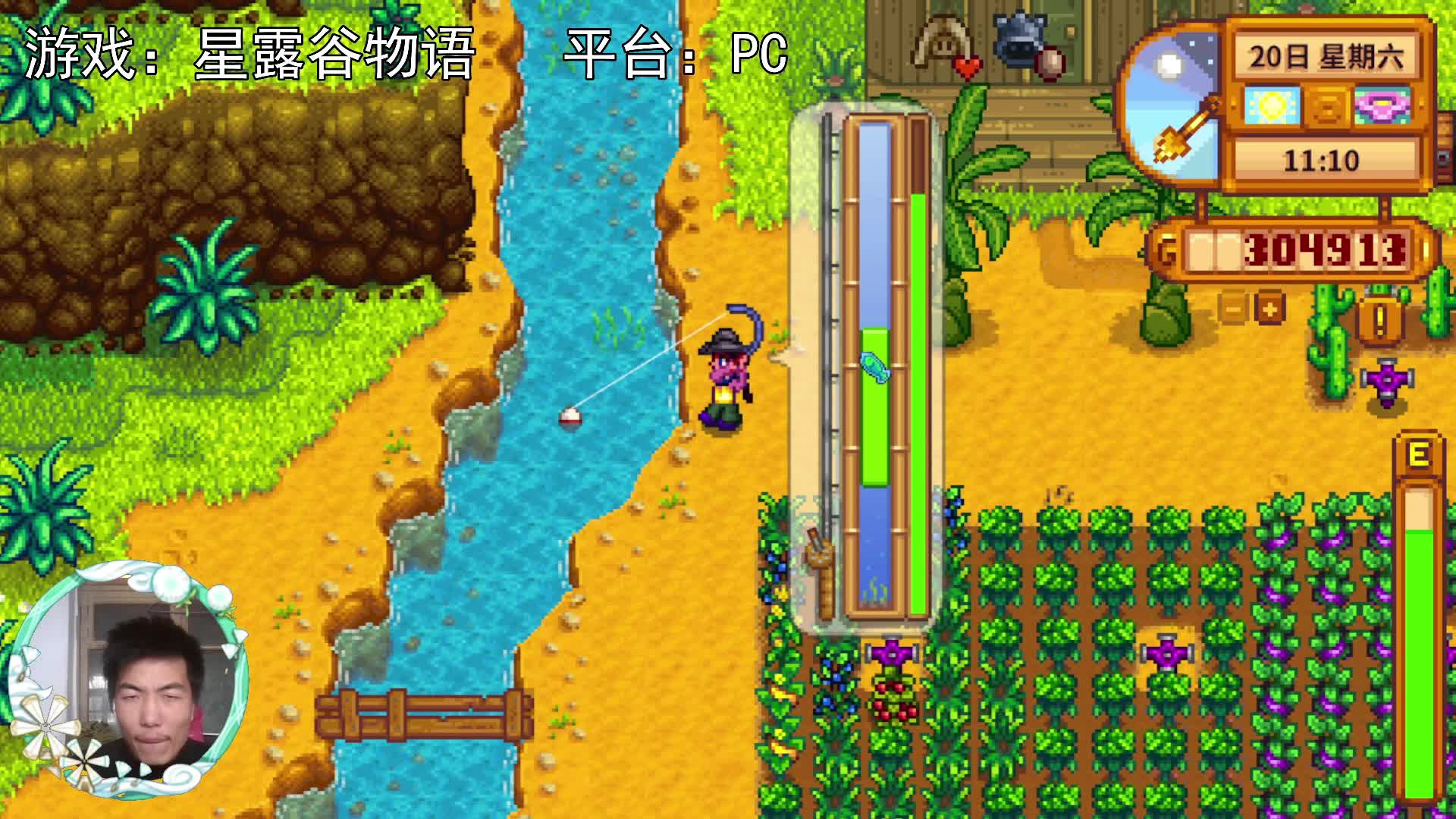 【星露谷物语】热带鱼，5条蓝铁饼鱼！