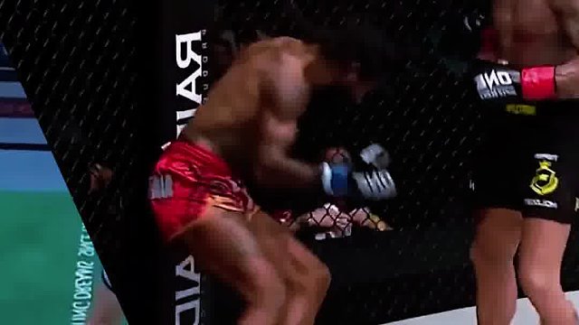 世界综合格斗名场面