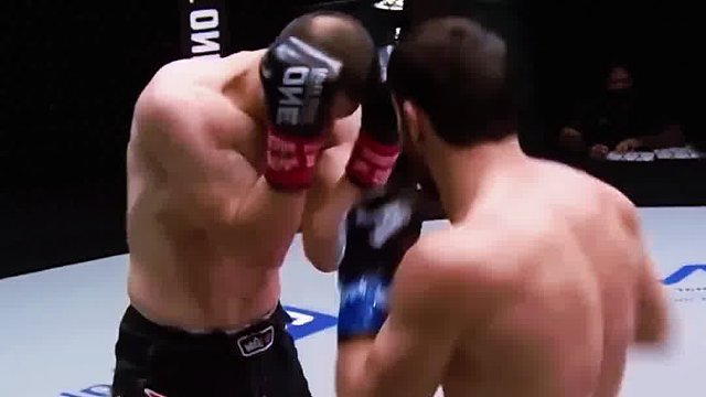 世界综合格斗名场面