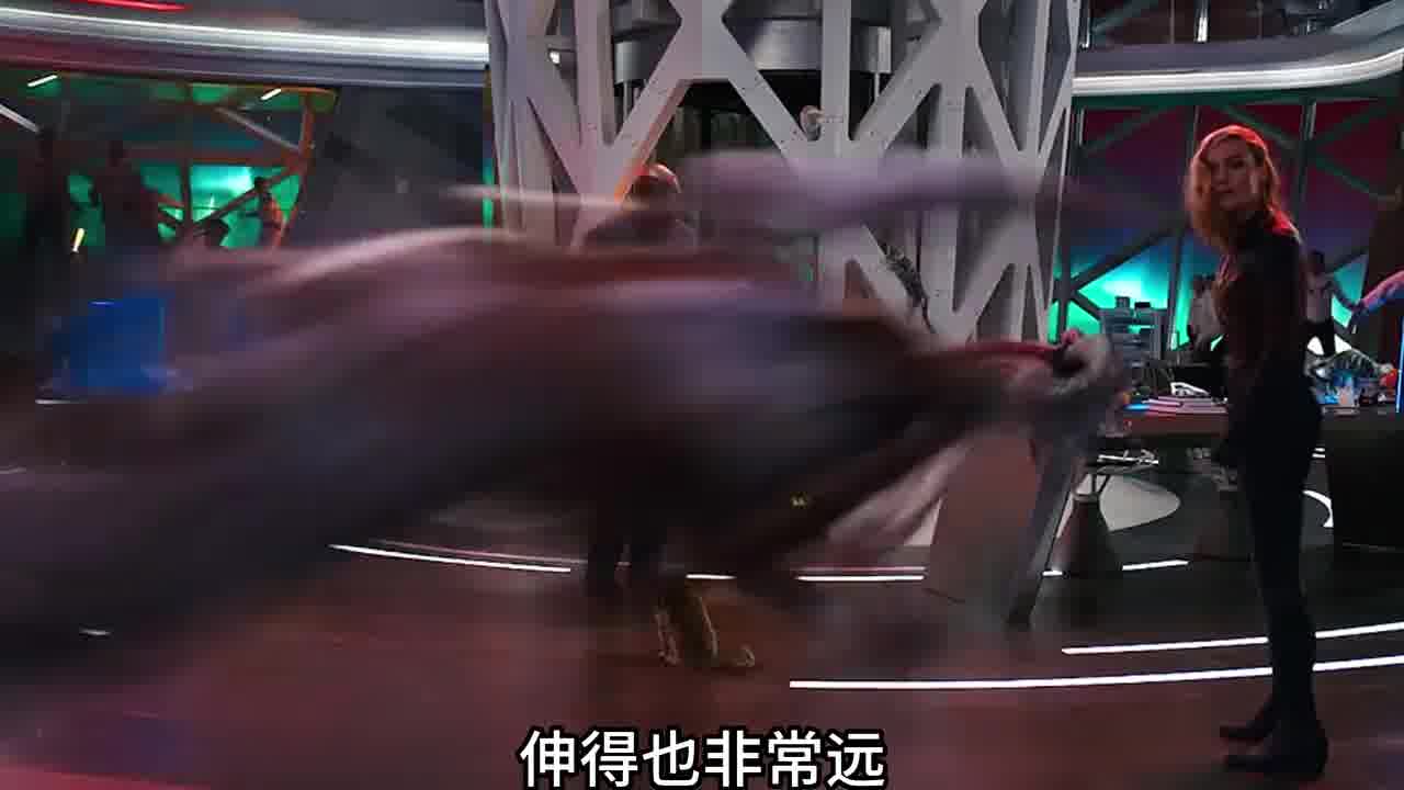 这只猫居然下了十几颗蛋