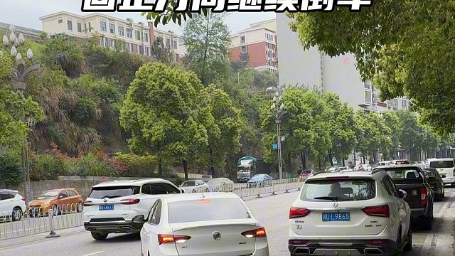 路边车位停车技巧，简单易学新手教学#驾驶技巧 #每天一个用车知识