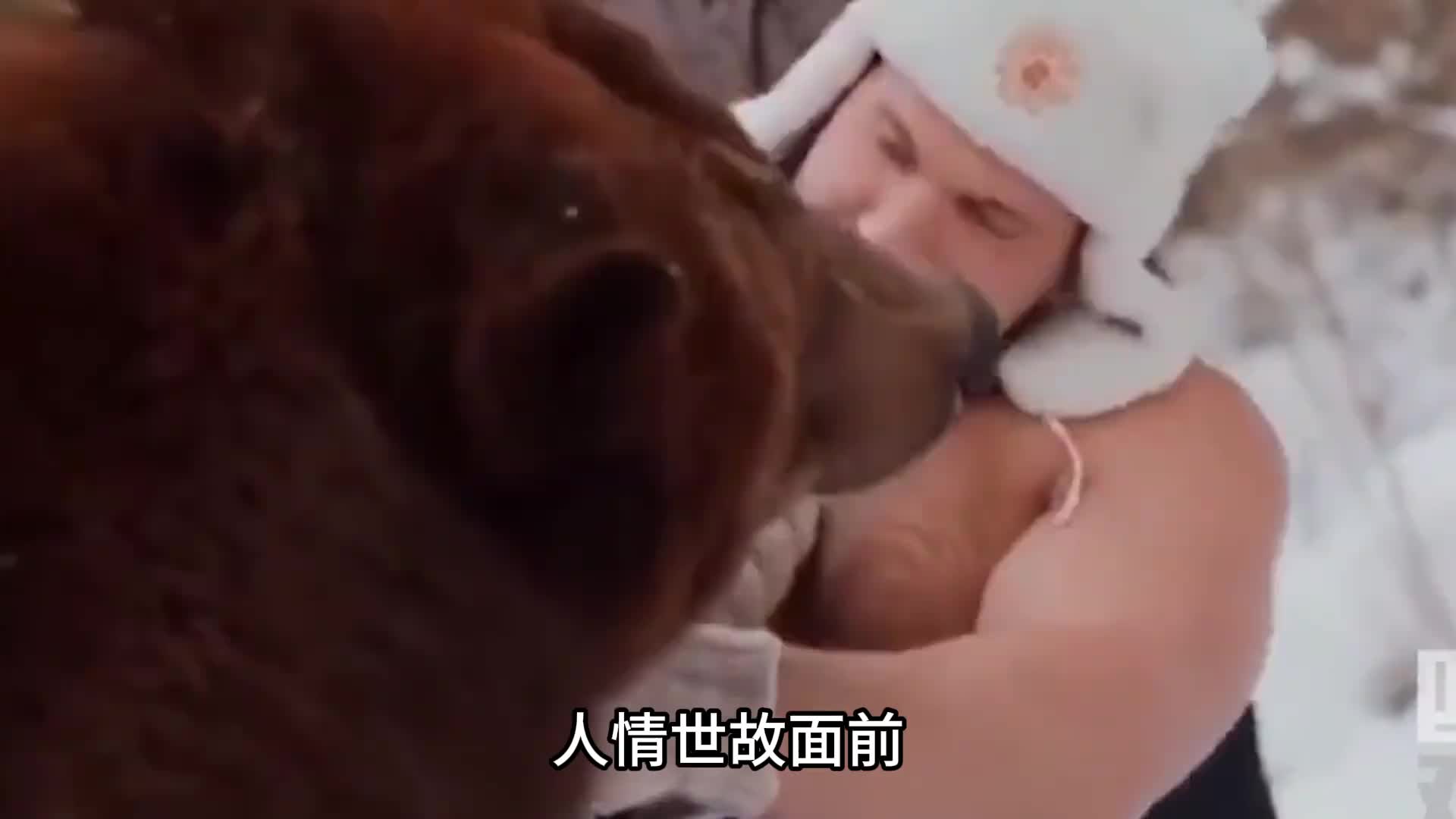 尴尬的俄罗斯棕熊