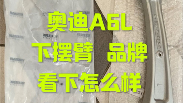 奥迪A6L 下摆臂品牌做的也很不错哦