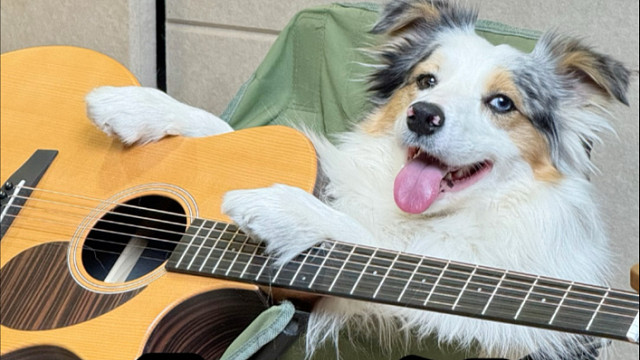 我看谁再说学吉他难！！！