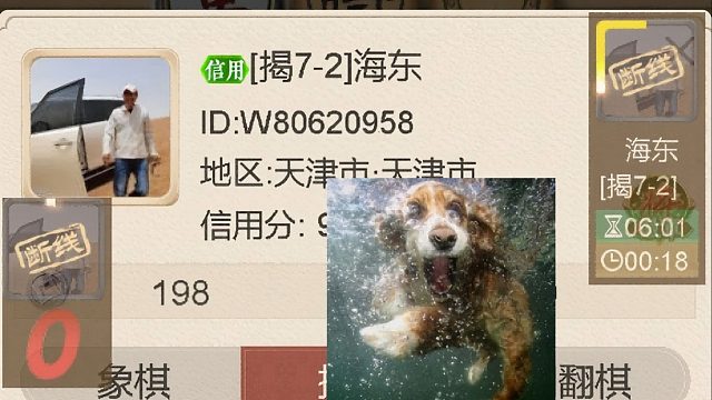 揭棋-断线狗-天津的小犬.少见天津的. 马你都敢吃.落水狗赶紧逃跑吧.看头像你带个帽子跟个人似的