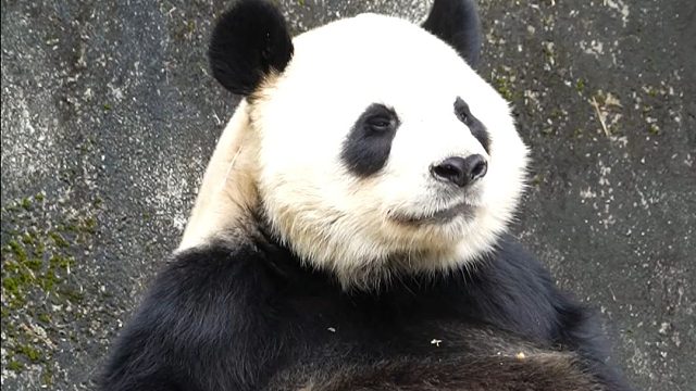 好困又想好好营业的宝宝