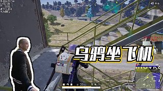 【拉風(fēng)龍】烏鴉坐飛機(jī)