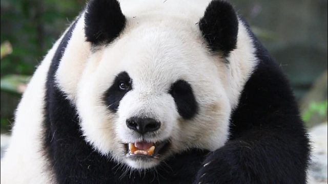 一睡醒就开始营业（结尾有wink~）