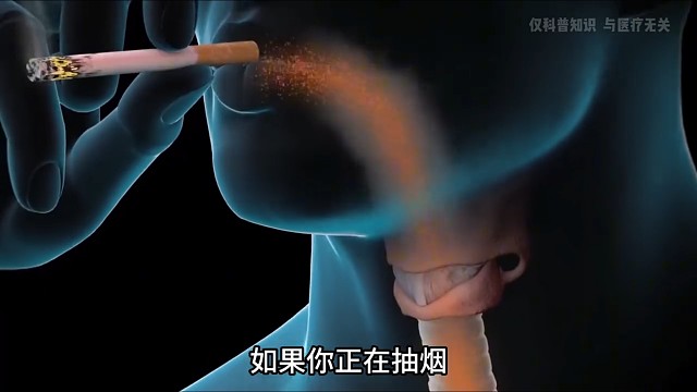 吸烟的危害，远比你想象中严重 