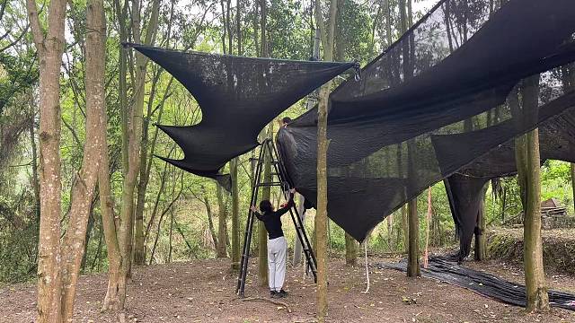 姐妹俩搭建遮阳篷