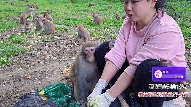 炮哥说下次要买很多芒果