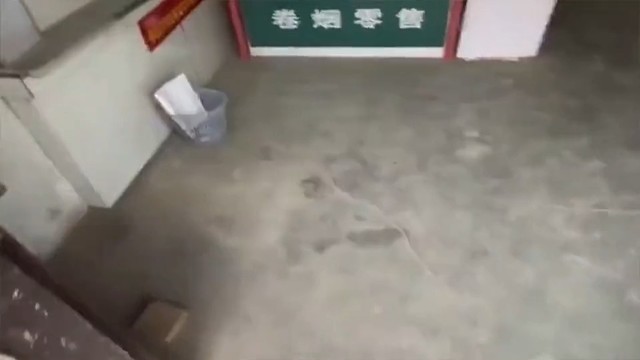 信贷员家里弄得，我们这的比这还不正规呢，这好歹还有个窗口