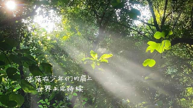 愿所有人向阳而生