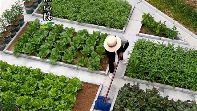 我从不相信儿孙自有儿孙福#田园生活