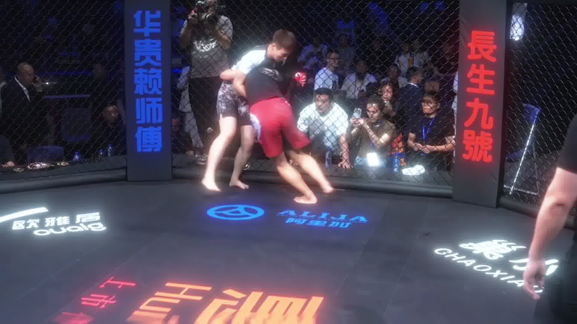 龙三格斗环球拳王巡回赛