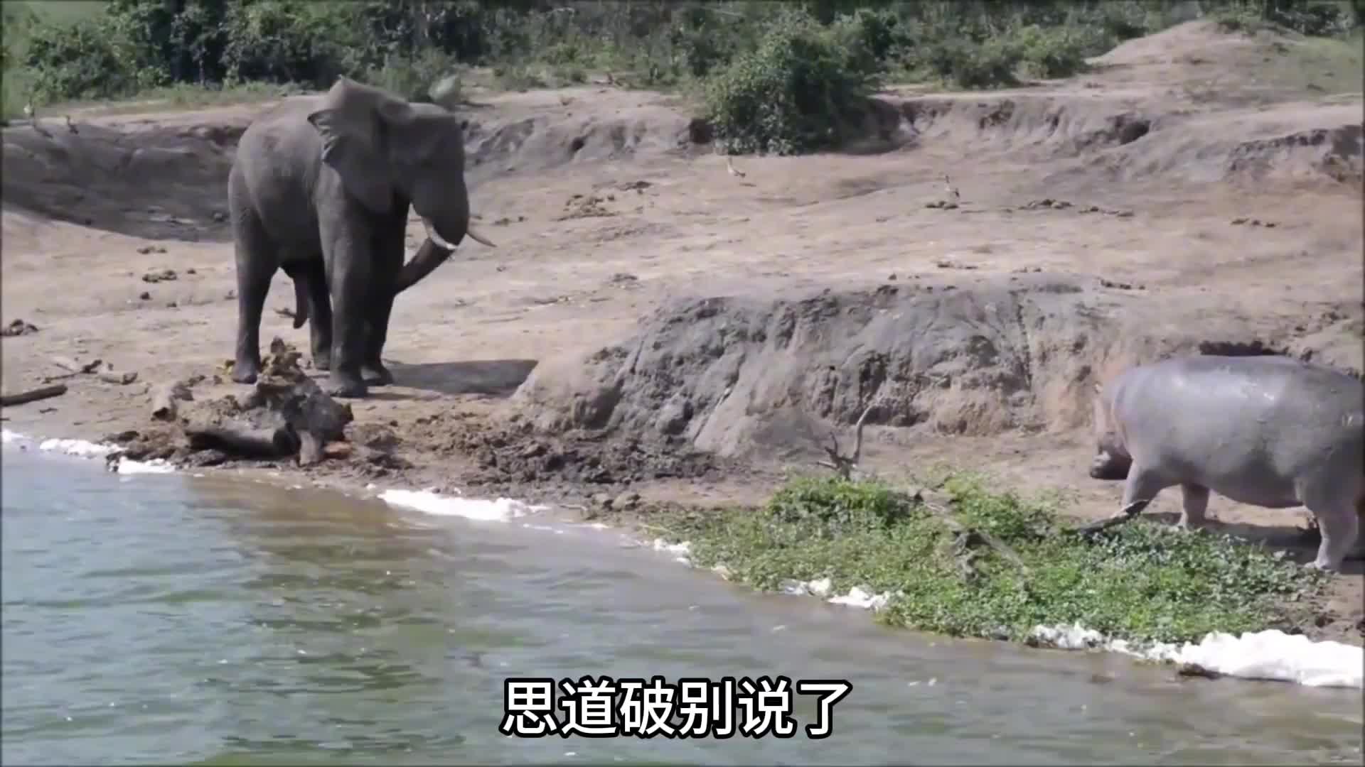 这么唠嗑真是没法唠