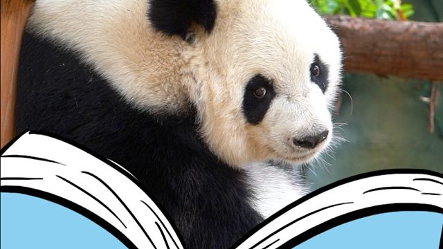 这世间女子，本就千娇百媚