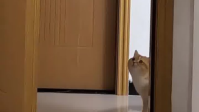 不得不说，这门把手质量真不错