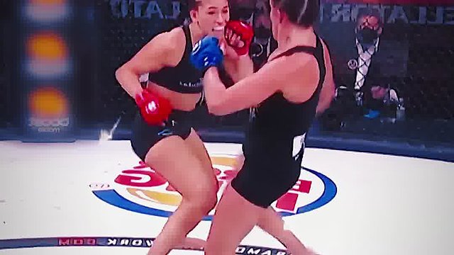 世界综合格斗名场面