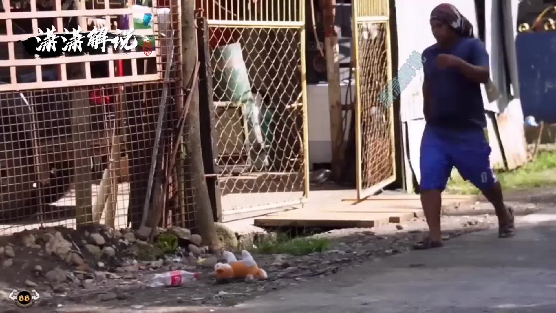 如果走在路上突然有狗追过来，你该怎么办呢。