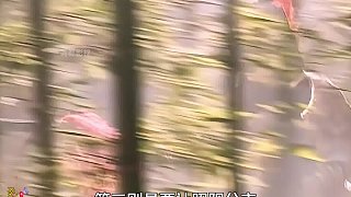 107  羅通單槍匹馬擋10萬大軍，本以為……卻不料