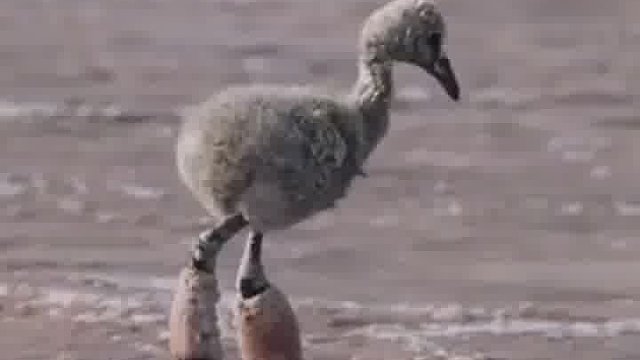 生命应当是这样热烈又生生不息的