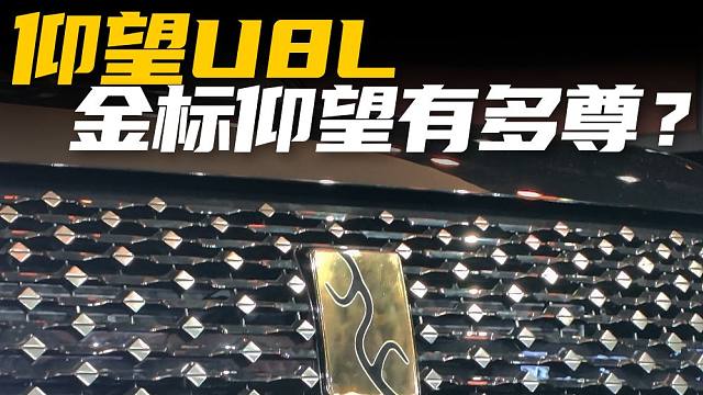 【2025上海车展】“L”不是加长是奢华？