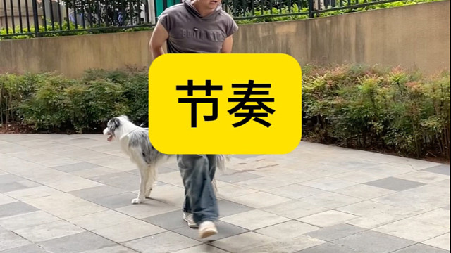 好的节奏 才有好的状态