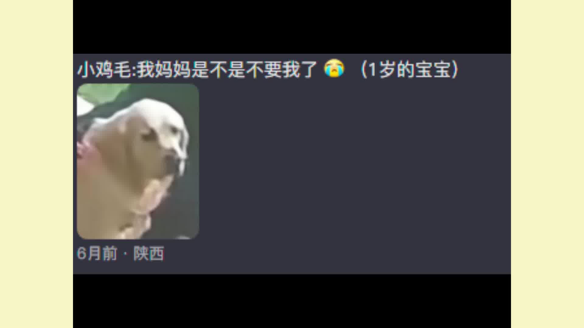 狗狗这小眼神真的是伤心坏了，害怕不要它