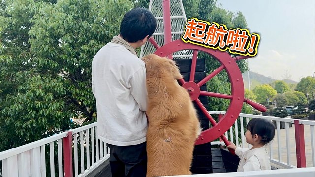 狗狗跟你天下第一最最好，就别管那只猫了吧！