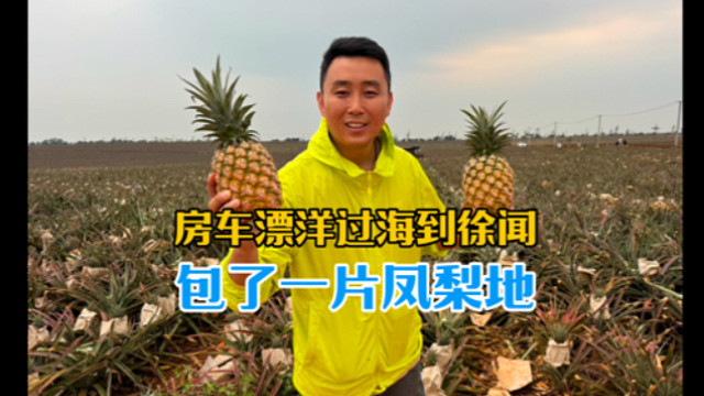 房车漂洋过海到达湛江徐闻，包了一片凤梨地，一家三口的田园生活
