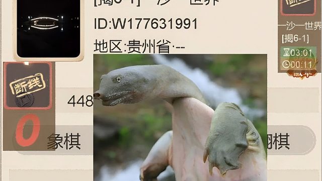 揭棋-断线狗来喽.贵州的犬犬儿-一沙一世界,一傻一辈子